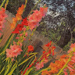 Meet your Posher, Isabella